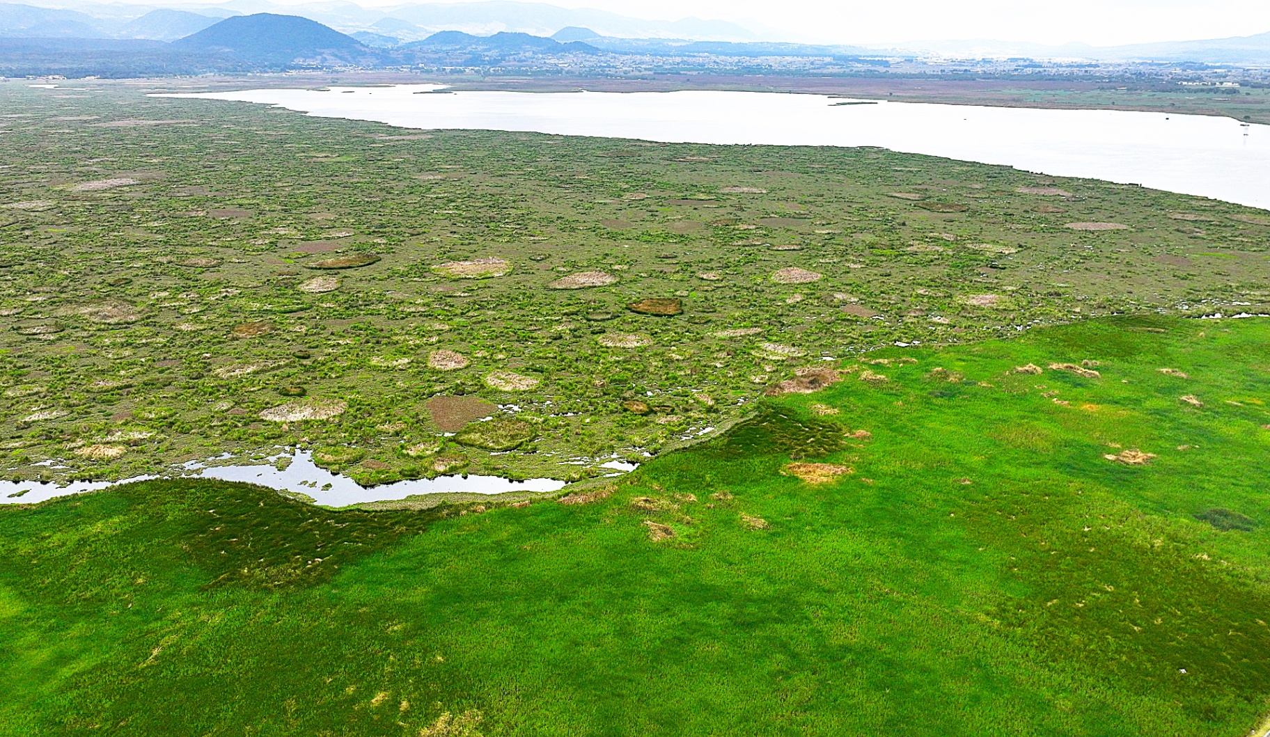 Aerial view of a reservoir in Mexico